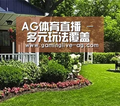 AG体育直播 - 多元玩法覆盖体育与真人