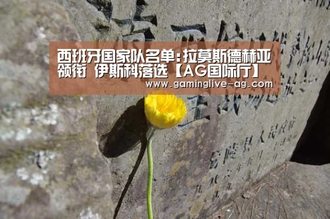 西班牙国家队名单:拉莫斯德赫亚领衔 伊斯科落选【AG国际厅】(图2) AG官网
